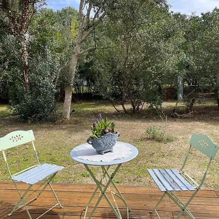 Vila L'effet Mer, Lux Living By Vineyard And Capbreton