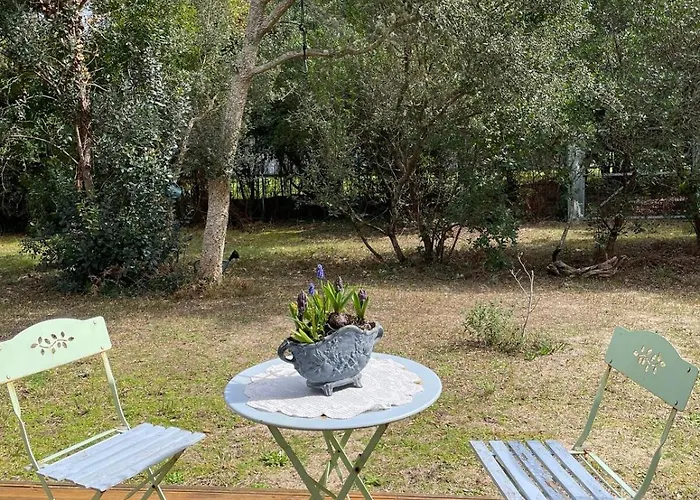 Villa L'effet Mer, Lux Living By Vineyard And Capbreton